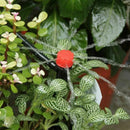 60 pcs Inserting ground Garden watering drip irrigation Adjustable Sprinkle Y3E7