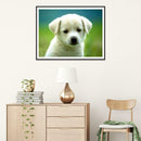 5D DIY Full Drill Diamond Painting Cute Animals Cross Stitch Craft Kit (04)