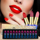 12 Pack Professional Matte Lipstick Set Long Lasting Waterproof Matte Tint Lip