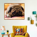 5D DIY Full Drill Square Diamond Painting Sad Dog Cross Stitch Embroidery