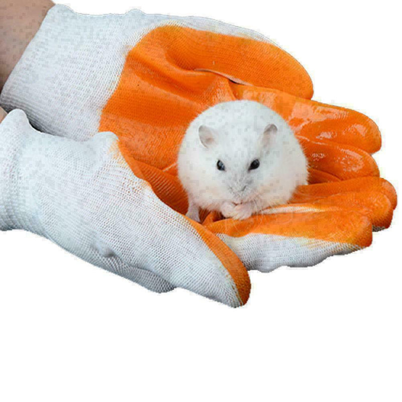 Hamster Bite Glove Rabbit Chinchilla Guinea Pig Bite Hot N6W8 V2N0 Protecti X9E2