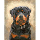Painting By Numbers Kit DIY Sad Dog Hand Painted Canvas Oil Art Picture A
