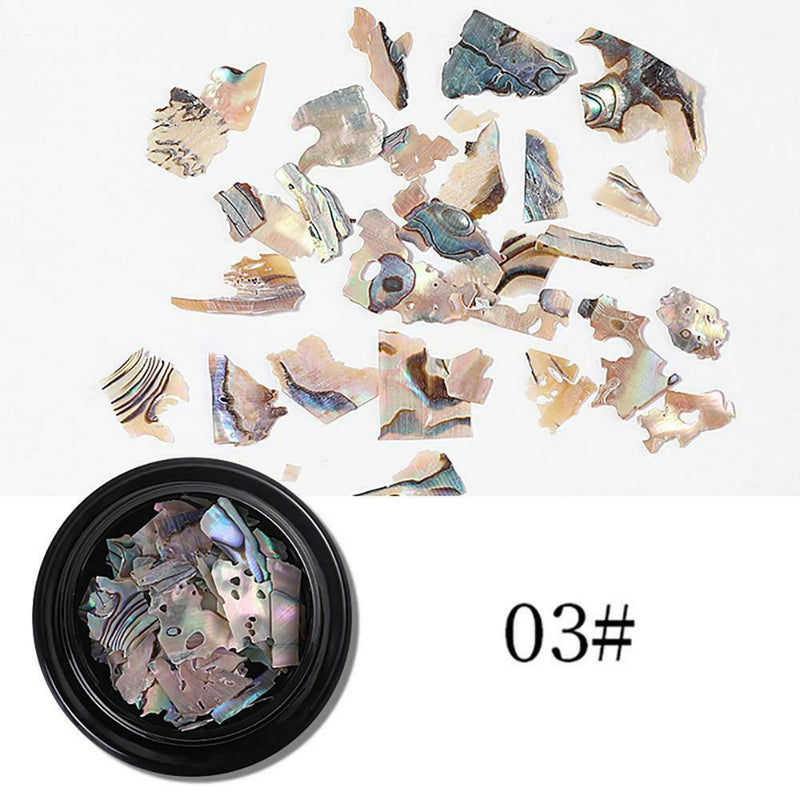 1 Box Natural Shell Piece Multicolor Fragments Nail Patch Nail Art (3)