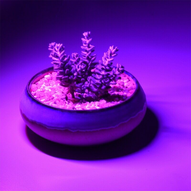 Usb Led Plant Growth Lamp 2.5W Home Indoor Imitation Sun Fill Light Full Sp