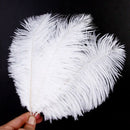 20 x natural ostrich feather 25-30cm white decoration festivities Y3Q7