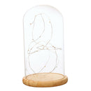 Battery Operated LED Glass Cloche Bedside Table Lamp Fairy Lights Crafts B