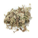 12L Natural Dry Sphagnum Moss Orchids for Potted Plants