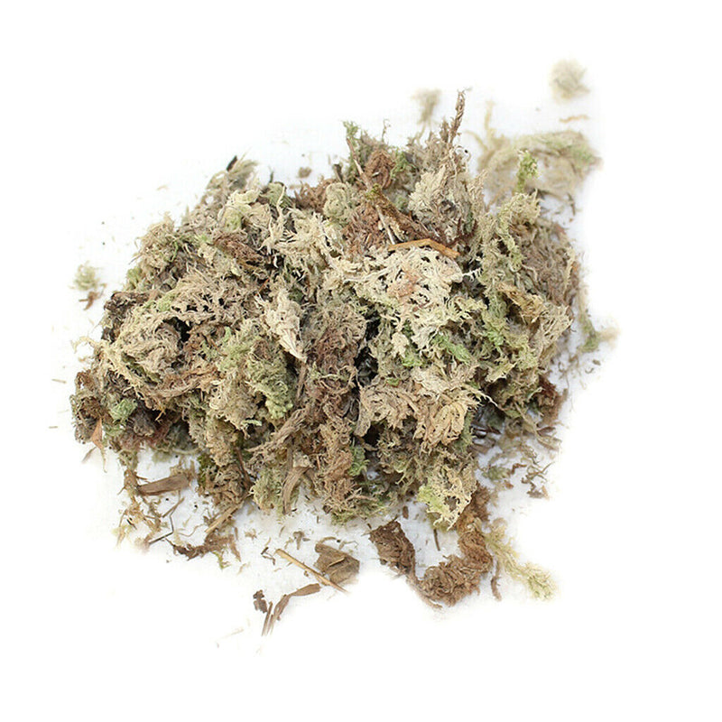 12L Natural Dry Sphagnum Moss Orchids for Potted Plants