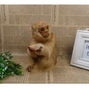 Sitting Monkey Decorative Garden Ornament Statue Dark