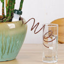 Watering Stakes,10 Pack Indoor Automatic Drip Watering System Irrigation Eq