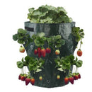 2Pcs Potato Strawberry Planter Bags for Growing Potatoes Outdoor Vertical G