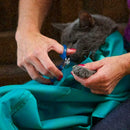 Cat Pet Carrier Pouch Out Travel Backpack V9V6 T9G6 U0H1 R1E9