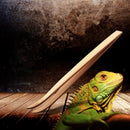 4 Pcs Bamboo Angled Reptile Lizard Terrarium Feeding Tongs Tweezers 16.5cm