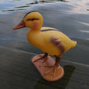 Small Duckings Floating Decoy Ducks Mallard Garden Pond Pool Yard Decor Arts