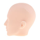 1/6 Normal Skin Tone Bold Headsculpt Male