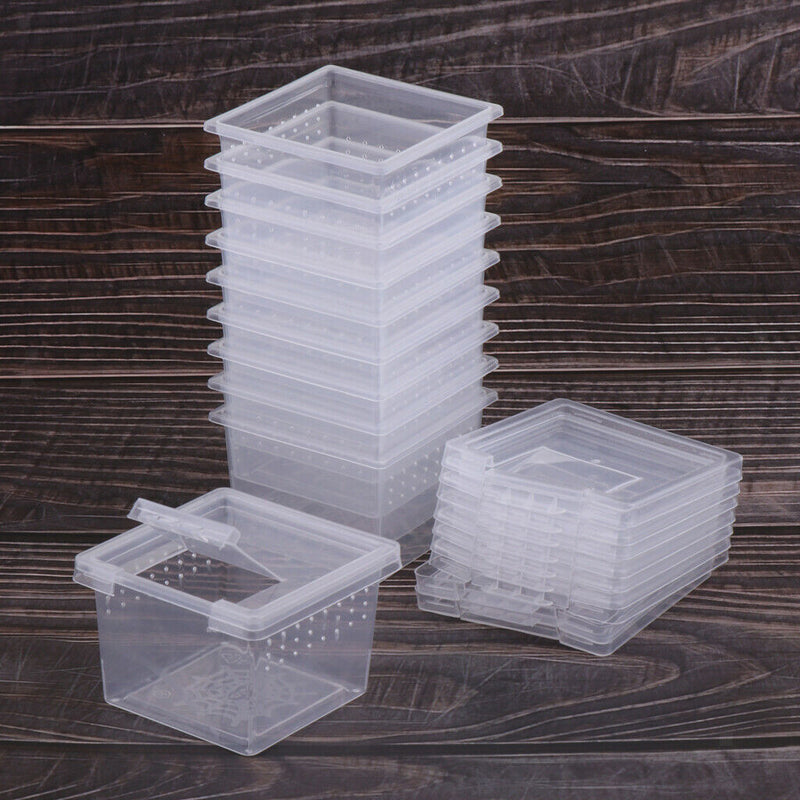 120x Hatching Container Rearing Tank for Terrarium Tortoise Spider Insect Frog