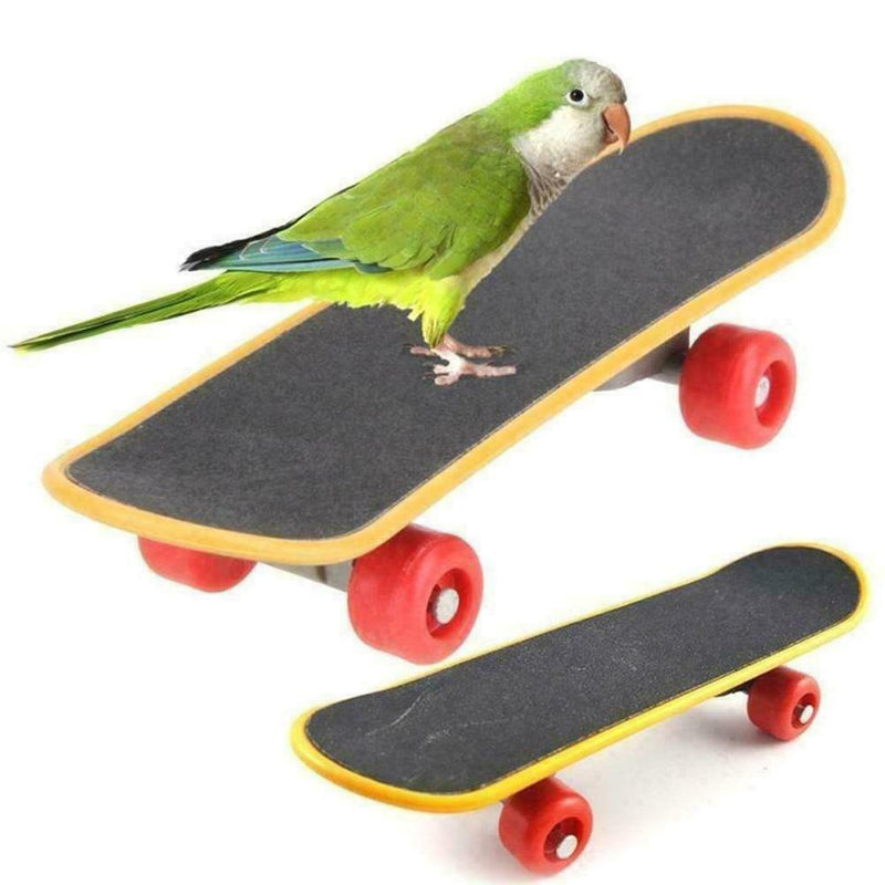 Pet Intelligence Foot PLUS Toys Training Skateboard Bird Perch Supplies Sta U6C8