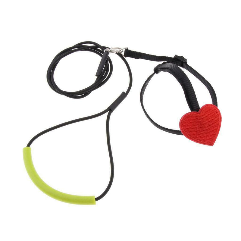 2 x Birds Rope Parrots Training Harness Leash For Medium Large Birds