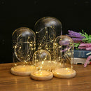 Battery Operated LED Glass Cloche Bedside Table Lamp Fairy Lights Crafts B