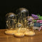 Battery Operated LED Glass Cloche Bedside Table Lamp Fairy Lights Crafts B