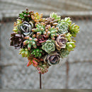 Iron Wire Wreath Ring+Heart Succulent Pot Metal Hanging Planter Plant Holder