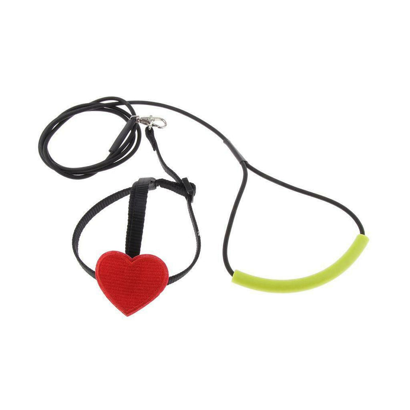 2 x Birds Rope Parrots Training Harness Leash For Medium Large Birds