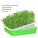 Seed Sprouter Tray PP Healthy Alfalfa Wheatgrass Seeds Grower with Cover,2 SA4I7