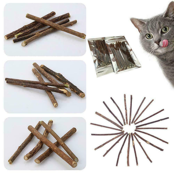 10x Cat Snacks Natural Matatabi Chew Catnip Stick Teeth Cleaning Molar Brus Q1Q9