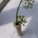 Brass Vase Tabletop Decoration Mini Vase Tube Dried Flower Vase Flower Pot