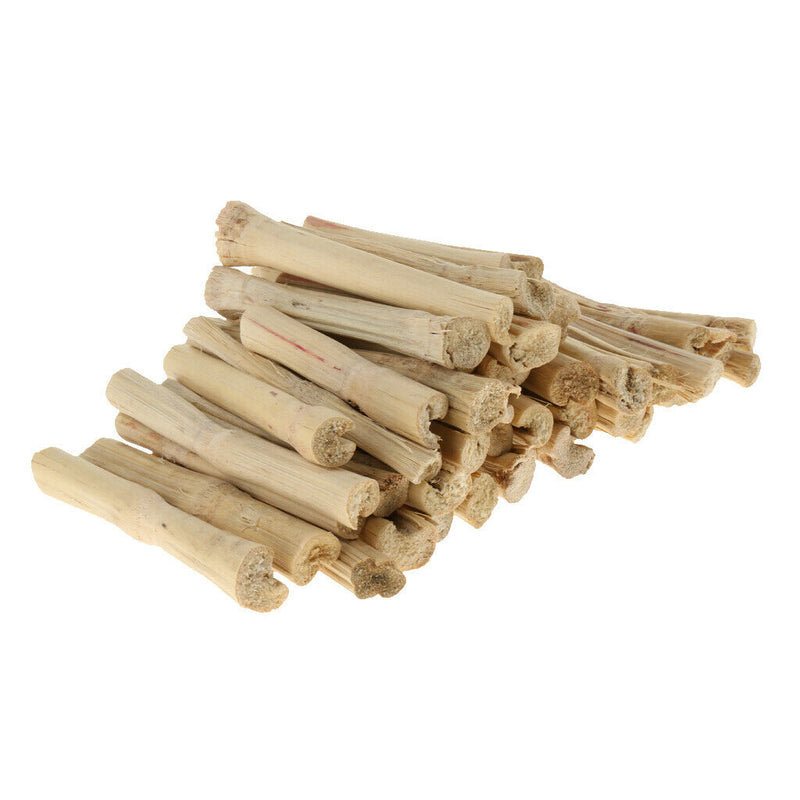 Natural Sweet Bamboos Chew Toys Small Animals Snacks for Rabbits Hamster