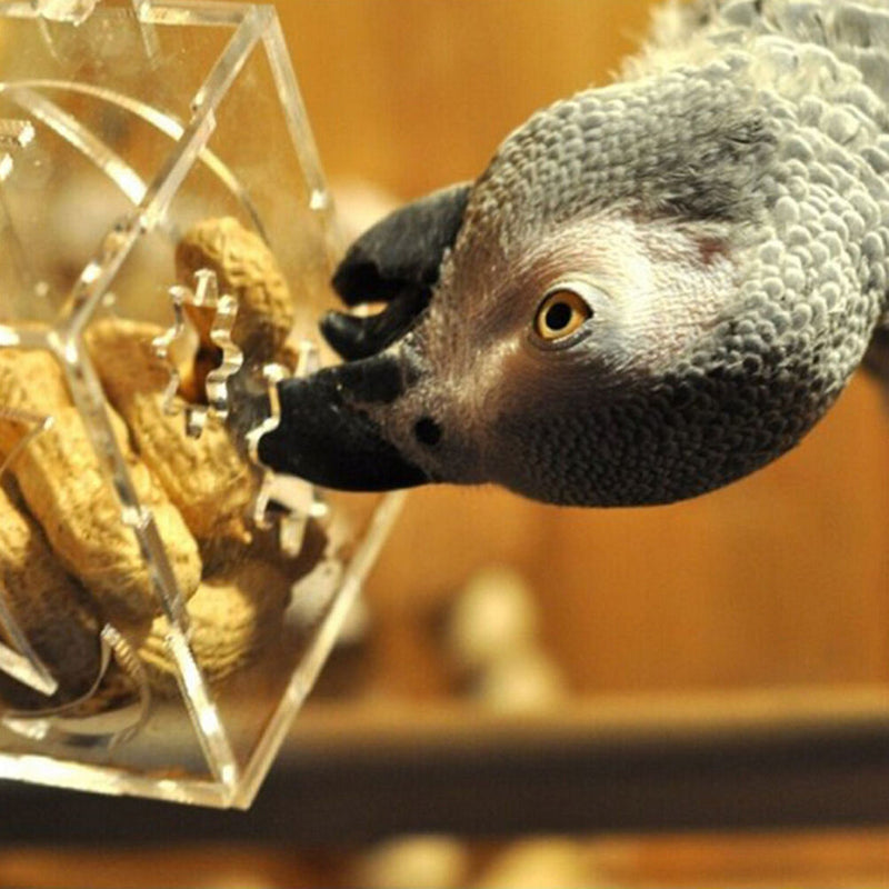 Parrot Bird Cage Feeder Hang Foraging Toys Pet Treat Hunt Macaw Cockatoo Budgie~