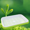 2Sets Double-Layer Sprouter Nursery Tray Seed Pots Hydroponics Basket Flowe