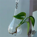Glass Hanging Vase Flower Plant Container Pot Wedding Decor Tea Light Holder MO