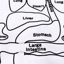Anatomy Apron Toys for Children Prcehool Science Homeschool Teaching Aids