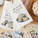 45x Cute Little Raccoons DIY Diary Stickers Paper Labels Gift Packaging Decor TO