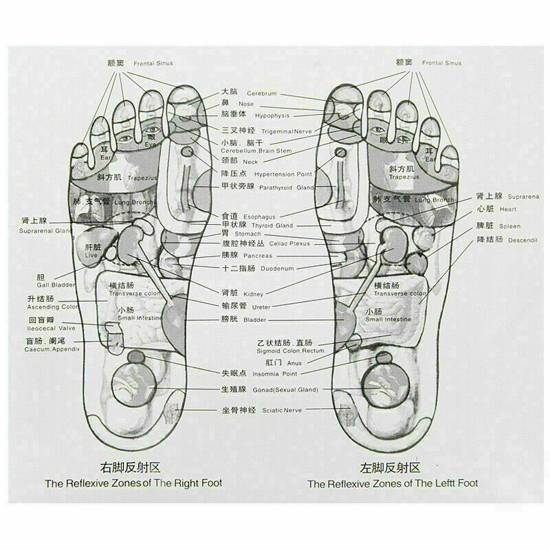 Reflexology Walk Stone Pain Relieve Foot Leg Relief Massager Acupressur D7F E4U3