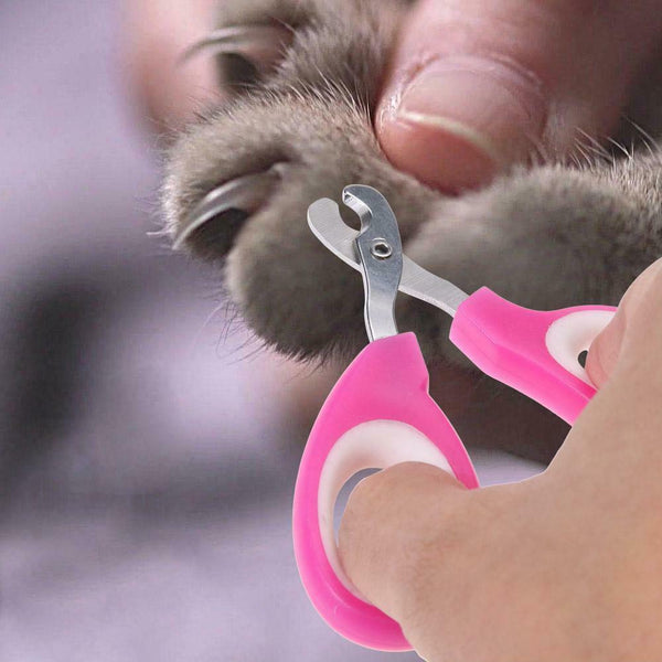 Pet Nail Clippers for Small Dogs Cats Claw Clippers Scissors Nail Cutter #JT1