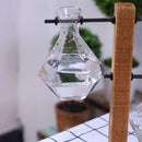 Creative Transparent Water Planting Glass Vase With Wooden Stand Desktop De S6X8
