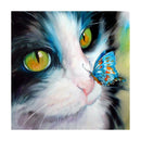 30cmx30cm Cat Butterfly 5D Diamond DIY Painting Craft Kit Home Hanging Decor