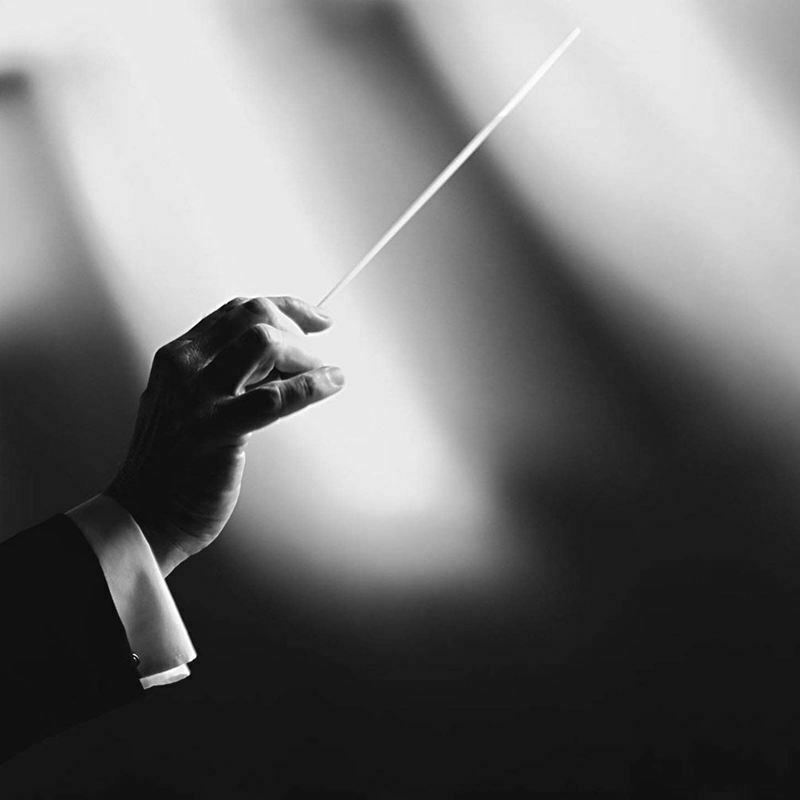 Music Conductor s,Imitation Agate Handle Orchestra Conducting Music s (Blac