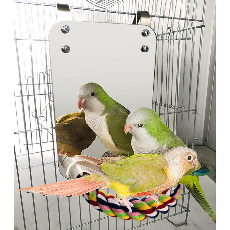 Parrot Large Mirror Bird Mirror with Rope Perch & Chewing Shell Interactive