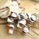 Naturally Dried Cotton Stem Farmhouse Artificial Flower Filler Floral Home Decor