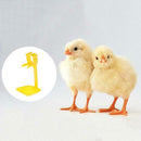 20pcs Chicken Hanging Cup Drinking Fountains Birds Water Bowl Nipple