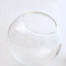 4Pcs Clear Glass Ball Shaped Cover Glass Cloche Globe Succulent Terrarium Bottle