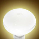 2Pcs Daylight Heat Light Bulb Reptile UVA Lamp Nightlight lizards, tortoise