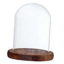 Clear Cloche Dome Plants & Flowers Jar for Home Garden Decoration Brown