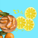 Small Fresh Lemon Photography Backdrops Studio Home Decor Photo Background