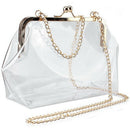 Clear Purse Crossbody Messenger Shoulder Bag For Women Chain Strap(Transpar