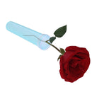 25pcs Plastic Water Tube With Rubber Cap Fresh Flowers Arts Crafts