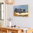 Animal DIY Diamond Painting 5D Full Round Drill Embroidery Craft (Cat-t395)